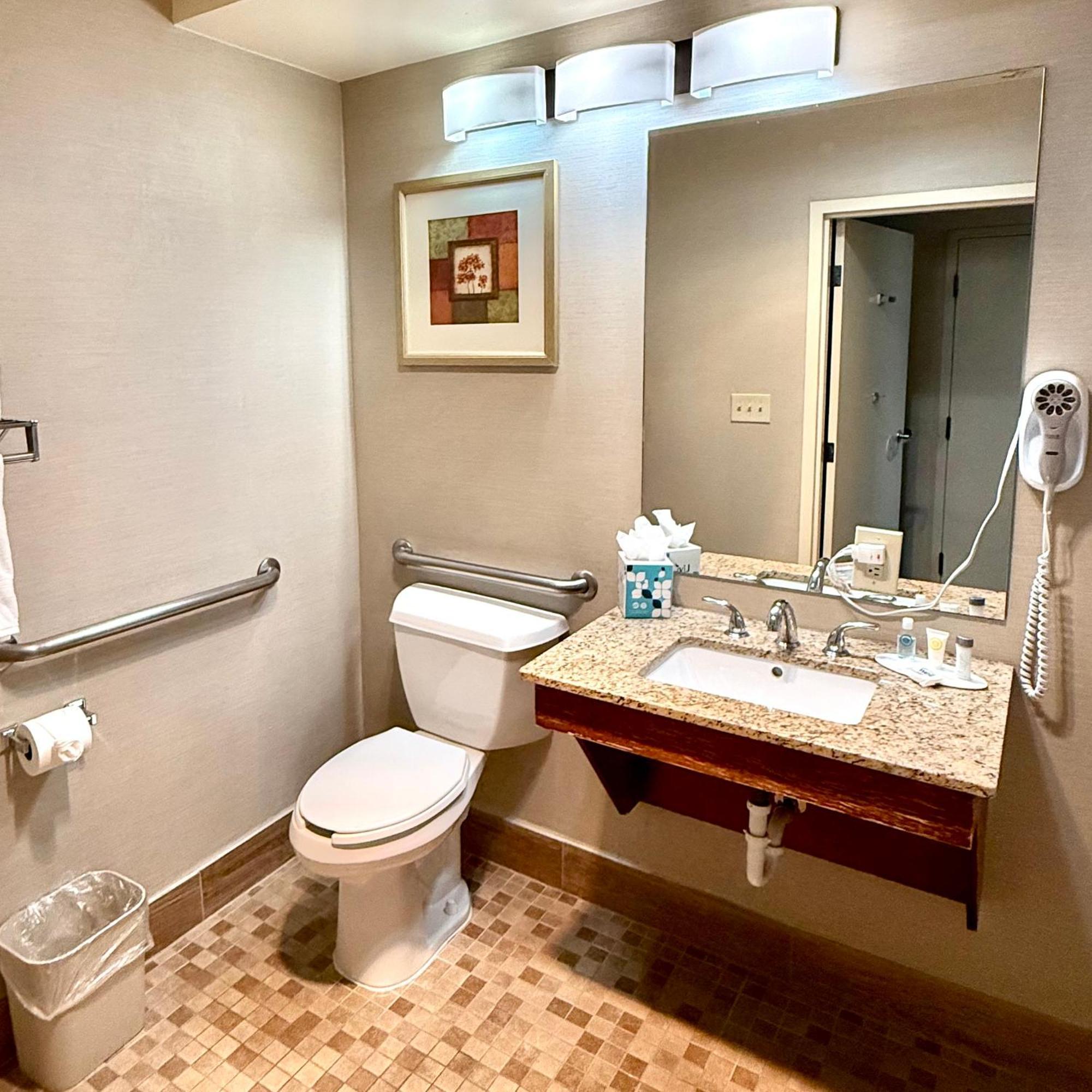 King Room Disability Access or Non-Smoking